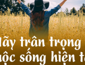 Hãy trân trọng hiện tại mà chúng ta đang sống
