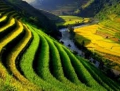 Mệnh Thổ hợp màu gì nhất? Người mệnh Thổ sinh năm nào?