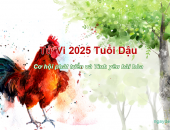 Tử vi 2025 tuổi Dậu - Cơ hội phát triển và tình yêu hài hòa