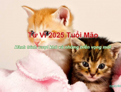 Tử vi 2025 tuổi Mão - Hành trình vượt khó và những triển vọng mới