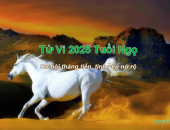 Tử vi 2025 tuổi Ngọ - Cơ hội thăng tiến, tình yêu nở rộ