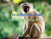 Tử vi 2025 tuổi Thân - Cơ hội thăng tiến và tình yêu thăng hoa
