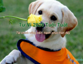 Tử vi 2025  tuổi Tuất - Tài chính vững bền, hạnh phúc tràn đầy
