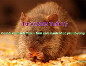 Tử vi 2025 tuổi Tý - Cơ hội và thách thức