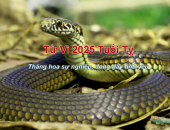 Tử vi 2025 tuổi Tỵ - Thăng hoa sự nghiệp, đong đầy tình yêu