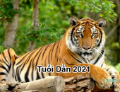 Tử vi năm 2021 tuổi Dần