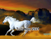 Tử vi năm 2021 tuổi Ngọ