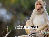 Tử vi năm 2021 tuổi Thân