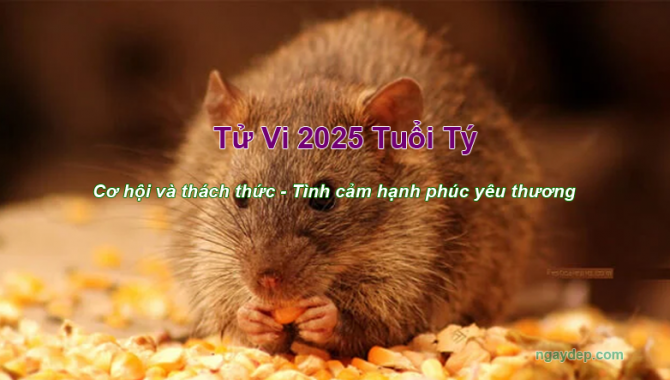 Tử vi 2025 tuổi Tý - Cơ hội và thách thức