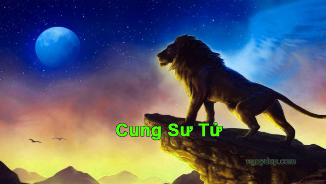 Sinh ngày 24 tháng 7 thuộc cung Sư Tử
