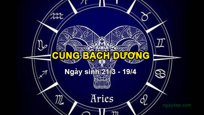 Bạch Dương luôn tiên phong trong công việc và chuyện bạn bè