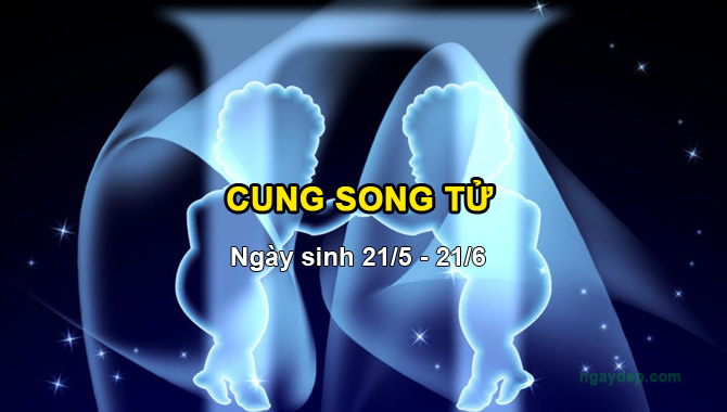 Cung Song Tử dễ tính, thích giao tiếp và hài hước