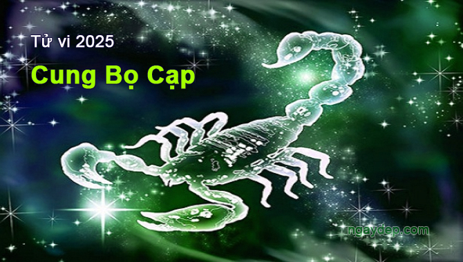 Tử vi 2025 cung Bọ Cạp Tử vi 2025 Bọ Cạp