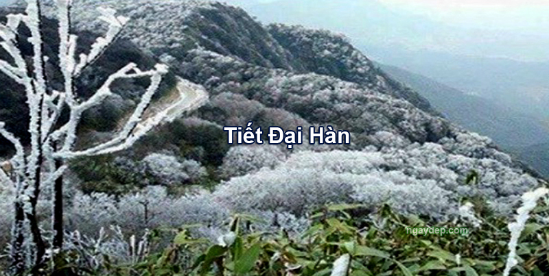 Tiết Đại Hàn 2030