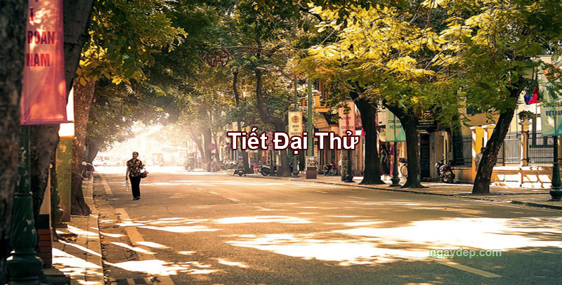 Tiết Đại Thử 2025