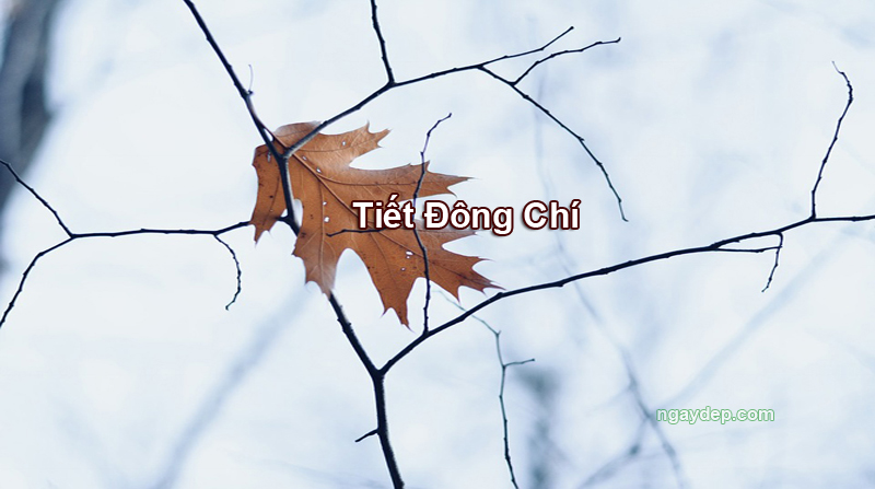 Tiết Đông Chí 2025