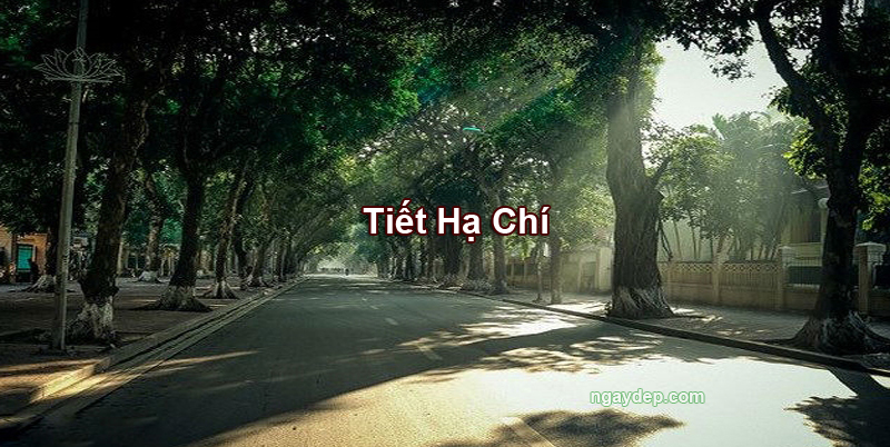 Tiết Hạ Chí 2025