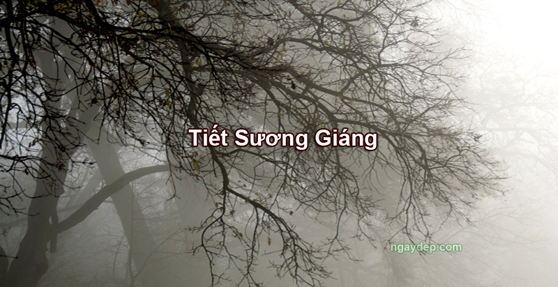 Tiết Sương Giáng 2025