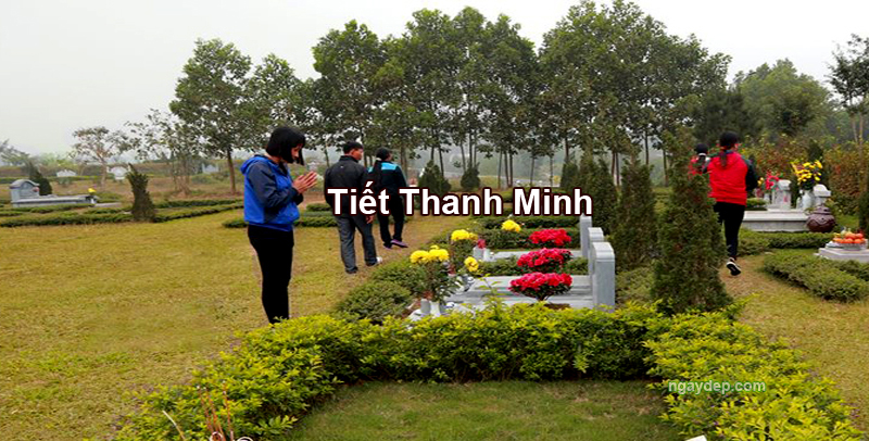 Tiết Thanh Minh 2029