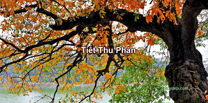 Tiết Thu Phân 2027