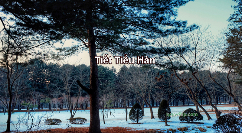 Tiết Tiểu Hàn 2028