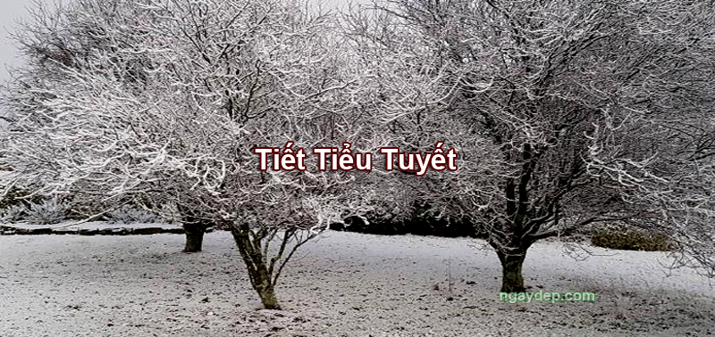 Tiết Tiểu Tuyết 2025