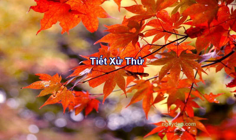 Tiết Xử Thử 2025