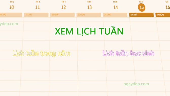 Xem hôm nay là tuần thứ bao nhiêu của năm 2025 và của học sinh