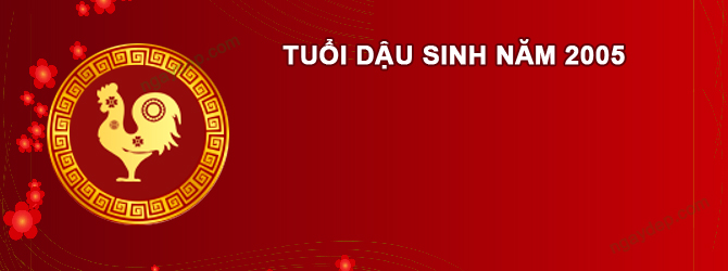 Năm 2025 Nam tuổi Ất Dậu 2005 sao gì chiếu mệnh