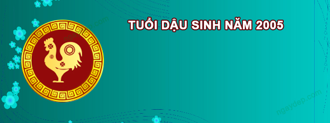Năm 2025 Nữ tuổi Ất Dậu 2005 sao gì chiếu mệnh