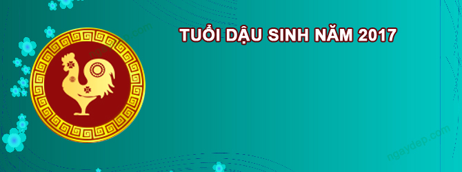 Năm 2025 Nữ tuổi Đinh Dậu 2017 sao gì chiếu mệnh