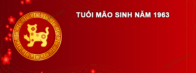 Năm 2025 Nam tuổi Quý Mão 1963 sao gì chiếu mệnh