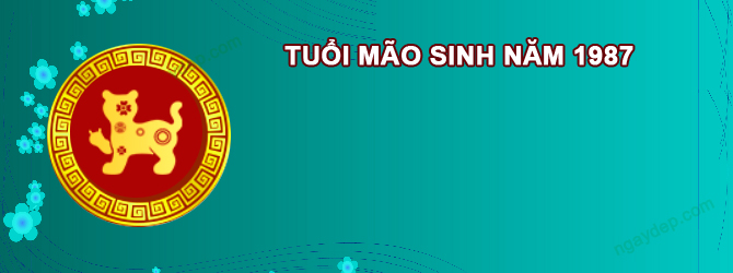 Năm 2025 Nữ tuổi Đinh Mão 1987 sao gì chiếu mệnh