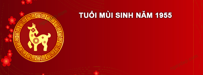 Năm 2025 Nam tuổi Ất Mùi 1955 sao gì chiếu mệnh