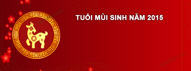 Năm 2025 Nam tuổi Ất Mùi 2015 sao gì chiếu mệnh