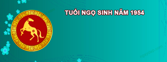 Năm 2025 Nữ tuổi Giáp Ngọ 1954 sao gì chiếu mệnh
