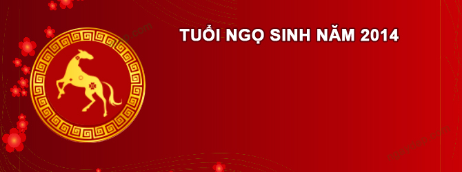 Năm 2025 Nam tuổi Giáp Ngọ 2014 sao gì chiếu mệnh