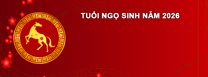 Năm 2027 Nam tuổi Bính Ngọ 2026 sao gì chiếu mệnh