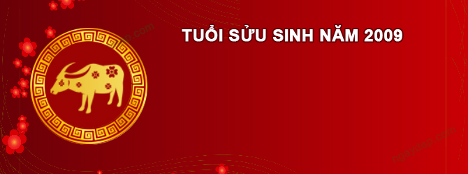 Năm 2025 Nam tuổi Kỷ Sửu 2009 sao gì chiếu mệnh