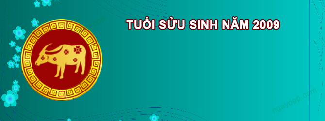 Năm 2025 Nữ tuổi Kỷ Sửu 2009 sao gì chiếu mệnh