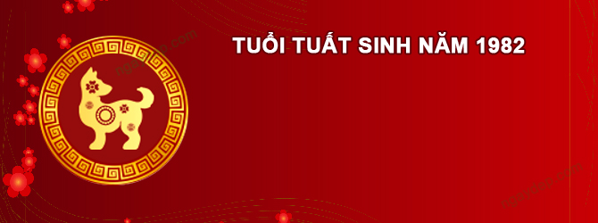 Năm 2025 Nam tuổi Nhâm Tuất 1982 sao gì chiếu mệnh