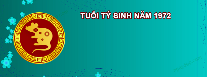 Năm 2025 Nữ tuổi Nhâm Tý 1972 sao gì chiếu mệnh