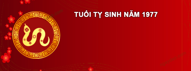 Năm 2025 Nam tuổi Đinh Tỵ 1977 sao gì chiếu mệnh
