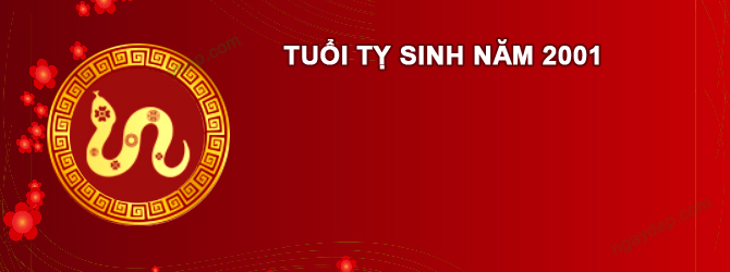 Năm 2025 Nam tuổi Tân Tỵ 2001 sao gì chiếu mệnh