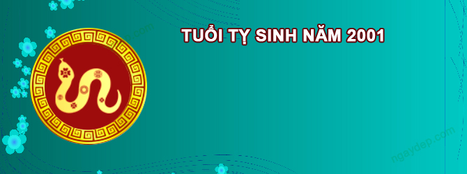 Năm 2025 Nữ tuổi Tân Tỵ 2001 sao gì chiếu mệnh