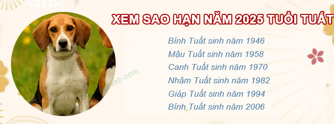 Bảng sao chiếu mệnh năm 2025 của tuổi Tuất