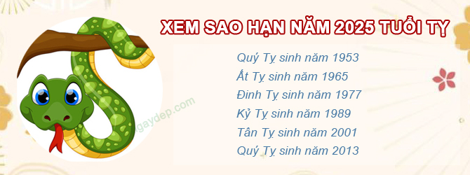 Bảng sao chiếu mệnh năm 2025 của tuổi Tỵ