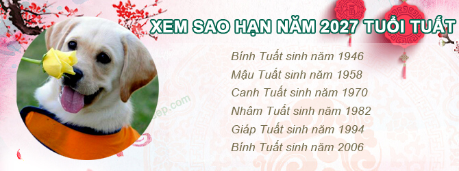 Bảng sao chiếu mệnh năm 2027 của tuổi Tuất