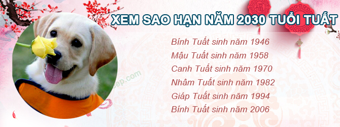Bảng sao chiếu mệnh năm 2030 của tuổi Tuất