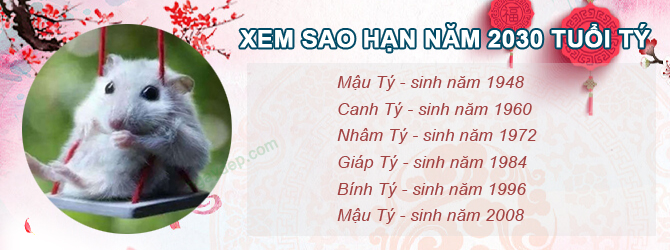 Bảng sao chiếu mệnh năm 2030 của tuổi Tý